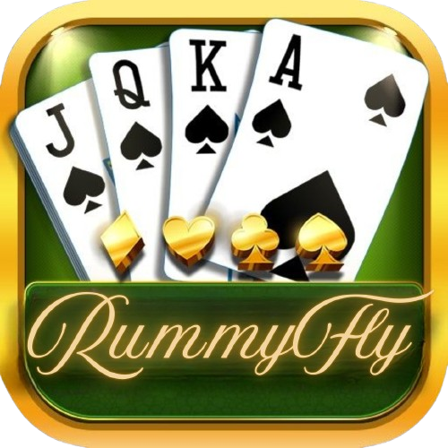 Rummy Fly icon